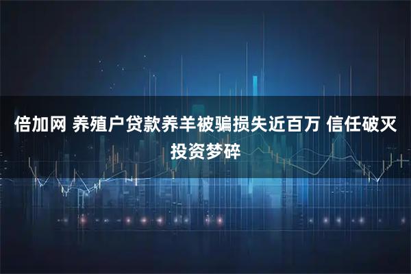 倍加网 养殖户贷款养羊被骗损失近百万 信任破灭投资梦碎