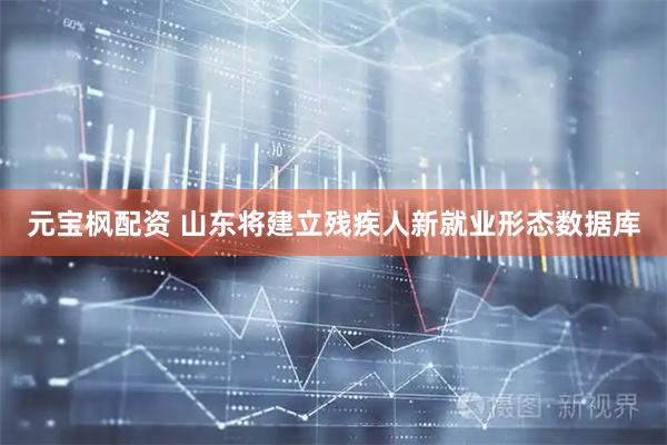 元宝枫配资 山东将建立残疾人新就业形态数据库