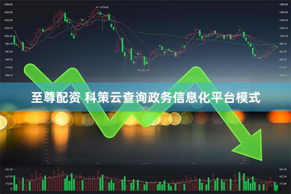 至尊配资 科策云查询政务信息化平台模式