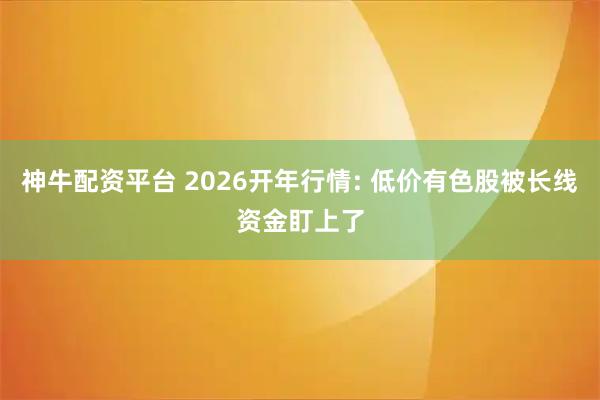 神牛配资平台 2026开年行情: 低价有色股被长线资金盯上了