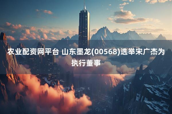 农业配资网平台 山东墨龙(00568)选举宋广杰为执行董事