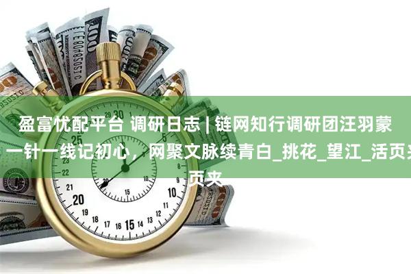 盈富忧配平台 调研日志 | 链网知行调研团汪羽蒙：一针一线记初心，网聚文脉续青白_挑花_望江_活页夹