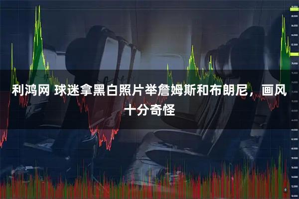利鸿网 球迷拿黑白照片举詹姆斯和布朗尼，画风十分奇怪