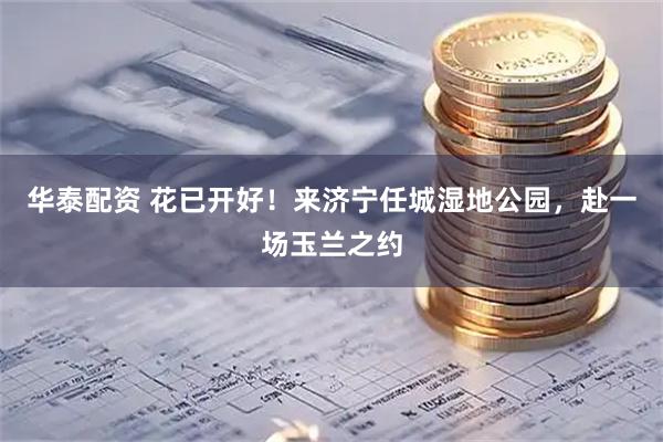 华泰配资 花已开好！来济宁任城湿地公园，赴一场玉兰之约